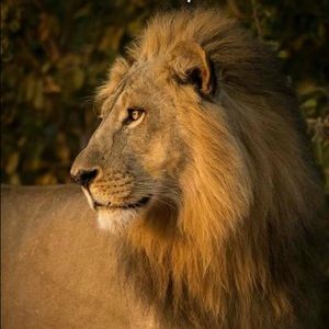 Meet your Posher, Mike